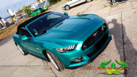 wrappsta.de carwrapping-vollfolierung Ford-Mustang-Convertible-5.0 Pearl-Dark-Green 01