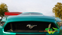 wrappsta.de carwrapping-vollfolierung Ford-Mustang-Convertible-5.0 Pearl-Dark-Green 013