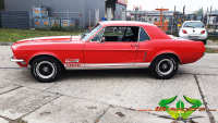 wrappsta.de carwrapping-vollfolierung Ford-Mustang Glanz-Weiss 03