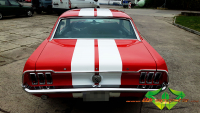wrappsta.de carwrapping-vollfolierung Ford-Mustang Glanz-Weiss 05