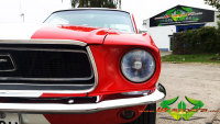 wrappsta.de carwrapping-vollfolierung Ford-Mustang Glanz-Weiss 09