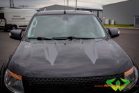 wrappsta.de carwrapping-vollfolierung Ford-Pickup-Ranger Decals 011