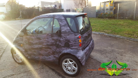 wrappsta.de carwrapping-vollfolierung Smart-Fortwo Black-Camouflage 08