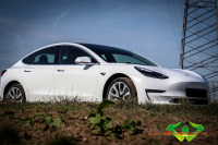 wrappsta.de carwrapping-vollfolierung Tesla-Model-3 Satin-White Ravenblack-Carbon 118